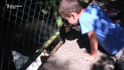 Pionirska dolina - više od zoološkog vrta