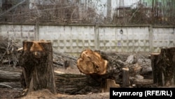 Иллюстративное фото 