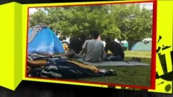 Fakat: Da li migranti u BiH krijumčare drogu i oružje?