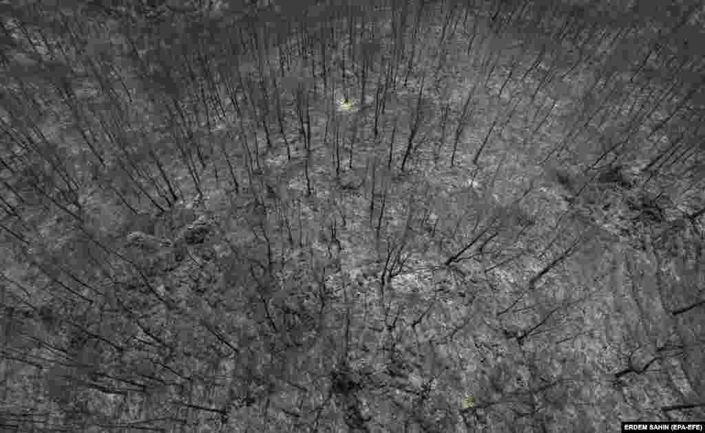 Snimak iz vazduha prikazuje spaljena stabla u ruralnom području okruga Marmaris u Mugli, u Turskoj, 31. jula 2021. godine.