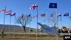 Авторы доклада отмечают успехи Грузии и ее приверженность цели стать членом НАТО