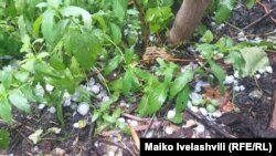 илустрација