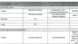 Sumele obținute de Ingrid Mocanu de la Ministerul de Justiție după ce a câștigat procesul de cercetare abuzivă.