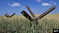 Tankcsapdák egy ukrajnai búzamezőn