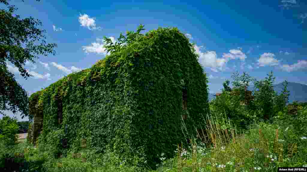 Stacioni i trenit në Qyshk të Pejës i mbuluar nga barishtet.