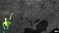 Kada porastu, suočavaju se s problemima kretanja i zaposšljavanjem