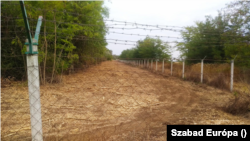 A szolnoki légibázis kerítése a bozótirtás után