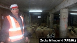 Ante Romić: Država kasni sa poticajima