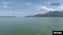 Skadarko jezero, ilustracija 