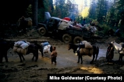 ტალახის გამო მოძრაობა უჭირს ყველაფერს: ცხოველებს, სატვირთო მანქანებს და ადამიანებს. ჭუბერი