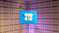 "Пора бомбить Вену", - пишут в твиттере