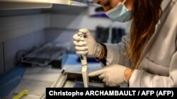 Pamje nga hulumtimet për koronavirusin në laborator.