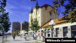 Priznanje počasnog građanina trenutno nose genetičar Miodrag Stojković, patrijarh Srpske pravoslavne crkve Irinej i premijer Aleksandar Vučić: Leskovac