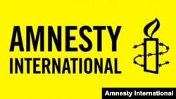 «Amnesty International» закликала українську владу покласти край злочинності в правоохоронних органах