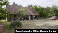 Négy év alatt megbontotta a szél a tetőt. A kocsit tönkrevágták. A gázpalackot elvitték. Se víz, se áram. Gyula így is boldog