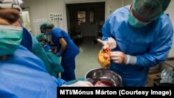 илустрација