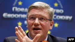 Штефан Фюле, 13 лютого 2014 року