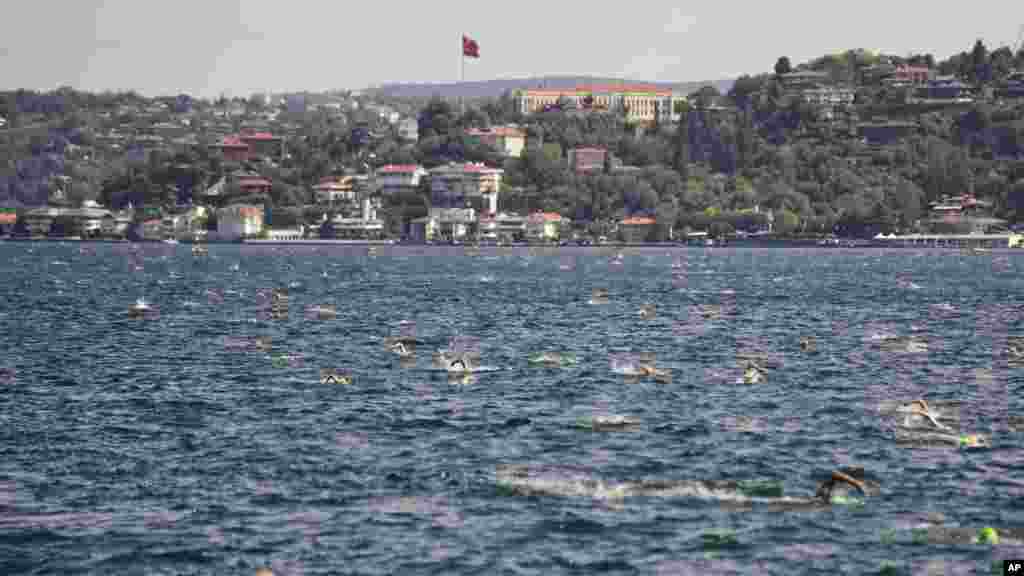 A veteránok augusztus 24-én úszták át a 6,5 kilométer széles Boszporusz tengerszorost Isztambul ázsiai partjától az európaiig, több mint 2800 úszóval együtt, akik 81 országból vettek részt az eseményen. Az úszást 1989 óta minden évben megrendezik Isztambulban a Török Olimpiai Bizottság szervezésében