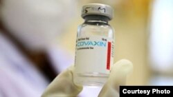 Вакцина Коваксин