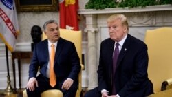 Čitamo vam: Trumpova podrška Orbanu uoči parlamentarnih izbora u Mađarskoj