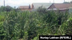Дома недалеко от канала, где протекают канализационные воды. Село Коксай Алматинской области, 18 июля 2012 года.