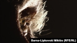 A férfi végül két évig bírta rabszolgaként. Az Ótemplomi Szeretetszolgálat munkatársai segítettek neki megszökni