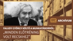 „Egy csepp vérrel egy betűt lehet leírni” – archív interjú Faludy György költővel
