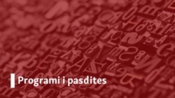 Programi i pasdites