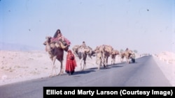 Pashtun Kuchis (nomads) on the road from Jalalabad to Kabul (Elliot and Marty Larson's photo from the 1970s).