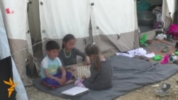 Мигрантите во Табановце спасот го гледаат само на север