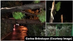 Furtuna din Cluj a doborât copaci și a inundat străzile.