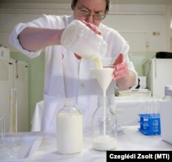 Védőnő ellenőrzi a leadott anyatejet.