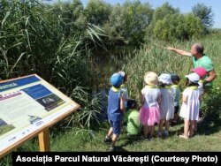 Parcul Natural Văcărești este una dintre puținele zone verzi mari din jurul Bucureștiului. Într-o acțiune de ecologizare din aprilie, 7,6 tone de deșeuri au fost adunate din parc.