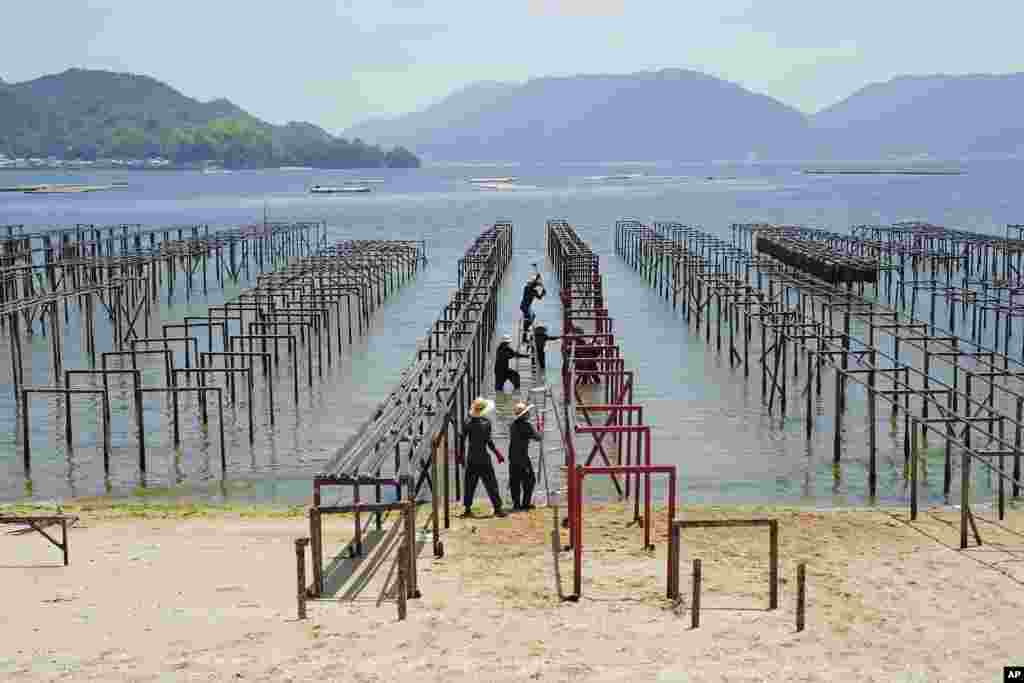 Ninoshima partjainál ma osztrigát tenyésztenek, ez helyi specialitásnak számít. 1945-ben itt kötöttek ki azok a kórházhajók, amelyek az atomtámadás súlyos sebesültjeit szállították