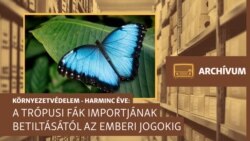 „Nyugati huncutság” – archív műsor a környezetvédelemről