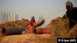 Žetva u senci novih graditeljskih poduhvata u Indiji, ilustrativna fotografija