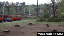 Pripreme za izgradnju gondole počele su sečom drveća na Kalemegdanu i Ušću