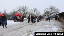 „S-au plodit toți tâlharii la putere”