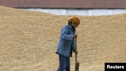 Женщина подметает остатки зерна на току. Село Бирлик Акмолинской области.