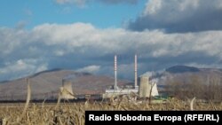 Илустрација, нива насадена со пченка 