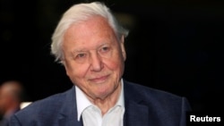 Дейвид Атънбъро получава първата си рицарска титла от кралица Елизабет II през 1985 г.