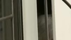 Украина ја зајакнува одбраната кај Павлохрад додека пристигнуваат повеќе евакуирани