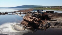 Starinski način i dalje najefikasniji za drvoseče Sibira