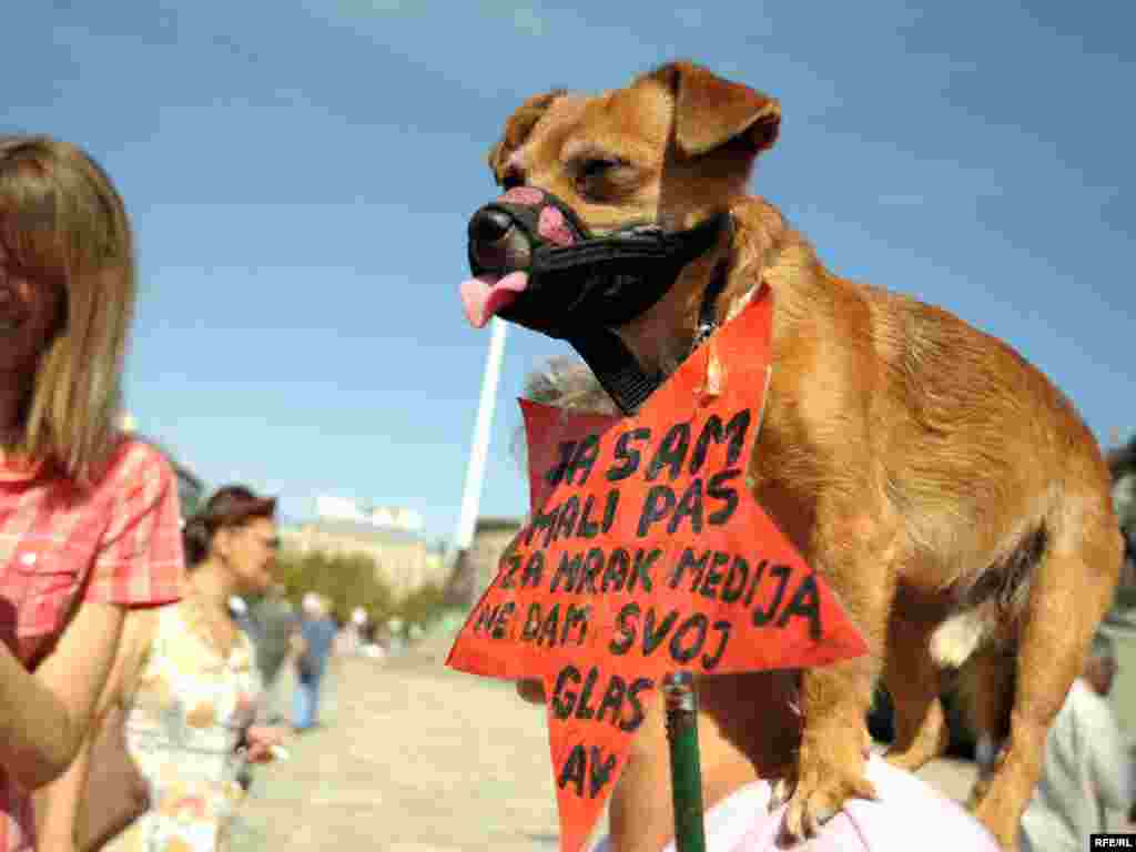 Srbija - Protesti novinara - Novinari su u Srbiji protestirali protiv predloženih promjena u zakonu o medijima. 31.08.2009. Foto:Vesna Anđić, RFE/RL