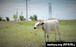 Въезд в село Оразак. Акмолинская область, 11 июня 2021 года