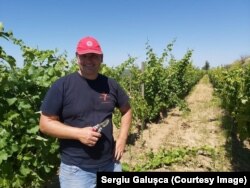 Sergiu Galușca, fondatorul vinăriei „Unicorn”