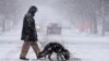 Мъж пресича улица в Сейнт Луис, Мисури, в началото на снежна буря, която идва с най-ниските температури за последното десетилетие. Освен Мисури, още 6 щата обявиха извънредно положение заради снега – Канзас, Кентъки, Вирджиния, Западна Вирджиния, Арканзас и части от Ню Джърси.