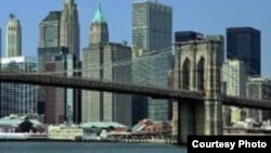 ნიუ–იორკი 