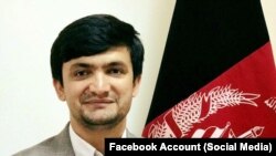 د افغانستان سولې عالي شورا ویاند سید احسان طاهري