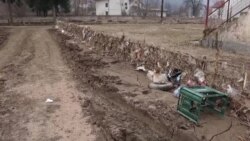 Dva minusa ne čine plus